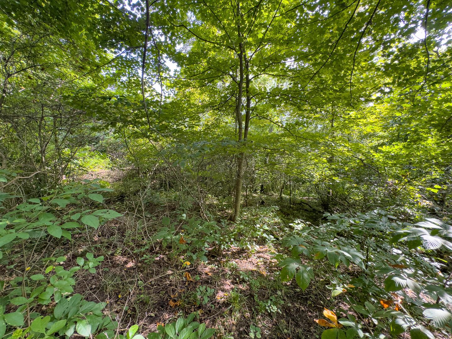 0 East Sand Ridge Road, Unit 338 Albany, OH 45710 - Photo 21 of 30 21-0 Sand Ridge Rd Ground-15