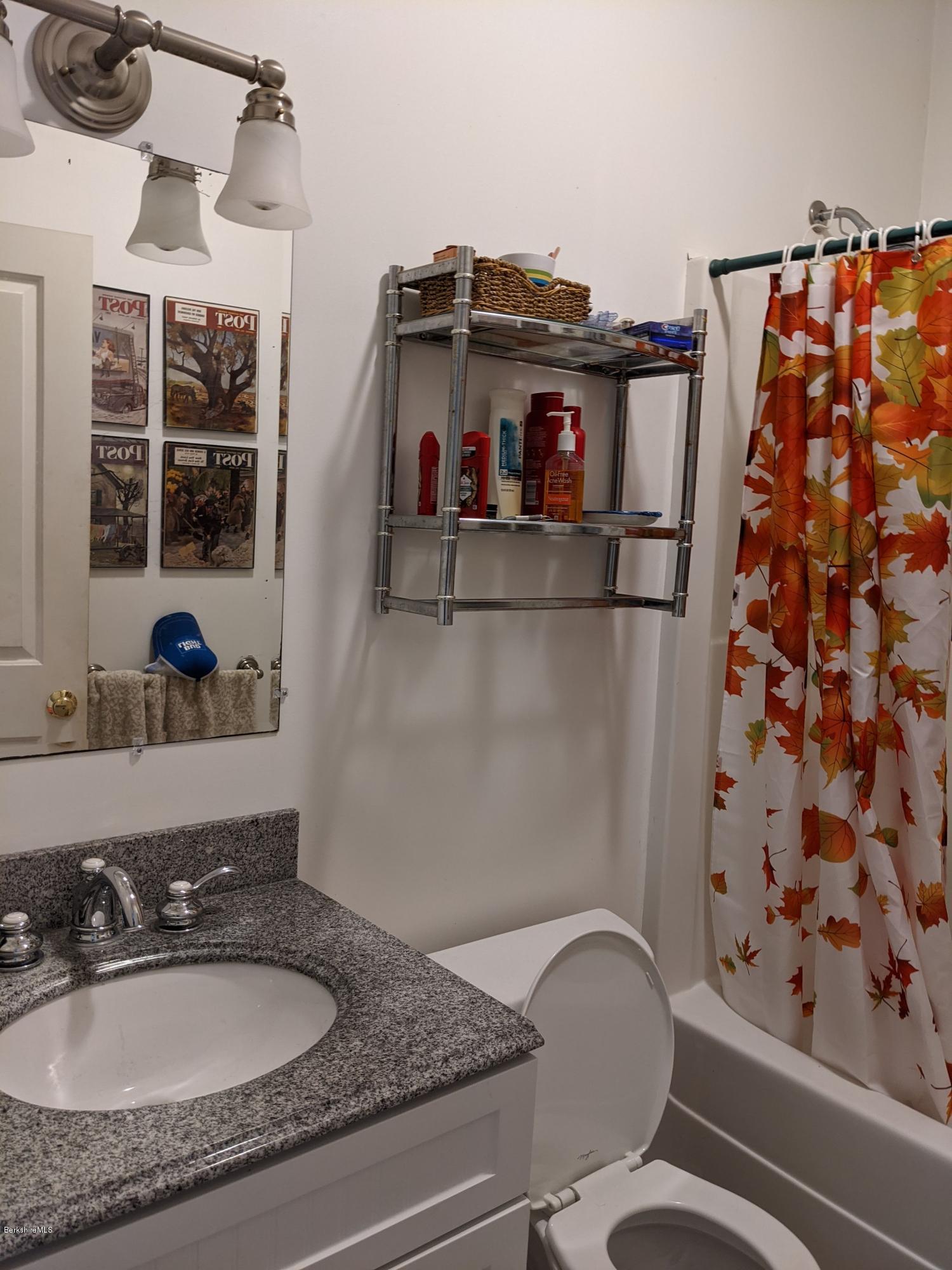 186 Bears Den Road Sheffield, MA 01257 - Photo 31 of 59 Front & Back B.R.'s bathroom