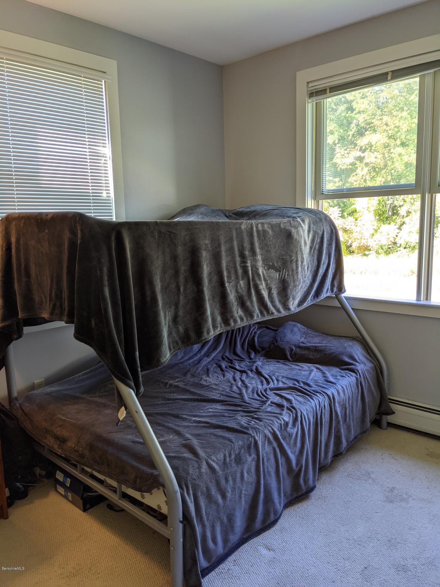 186 Bears Den Road Sheffield, MA 01257 - Photo 32 of 59 Rear facing B.R.