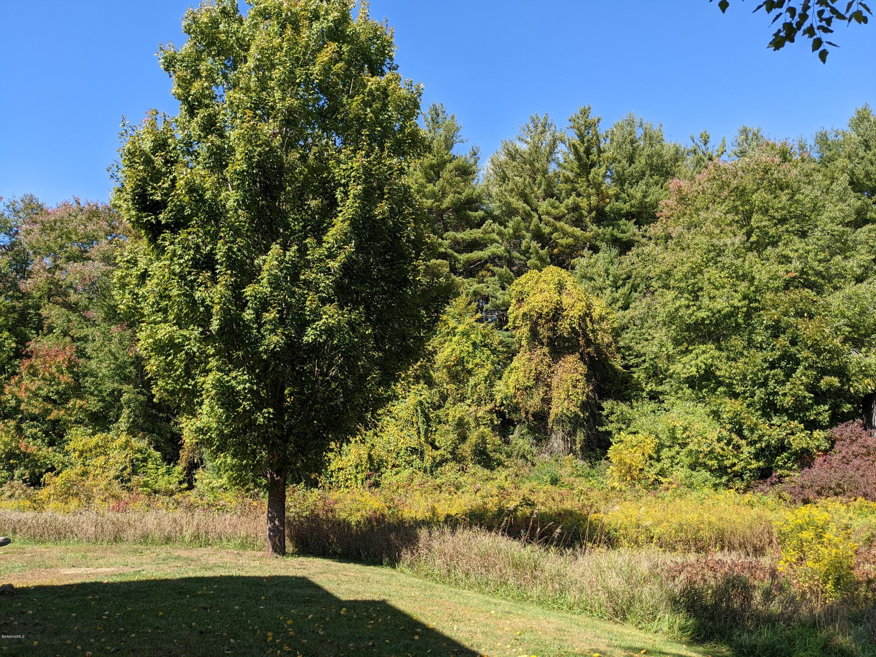 186 Bears Den Road Sheffield, MA 01257 - Photo 7 of 59 E. Side to Back Yard