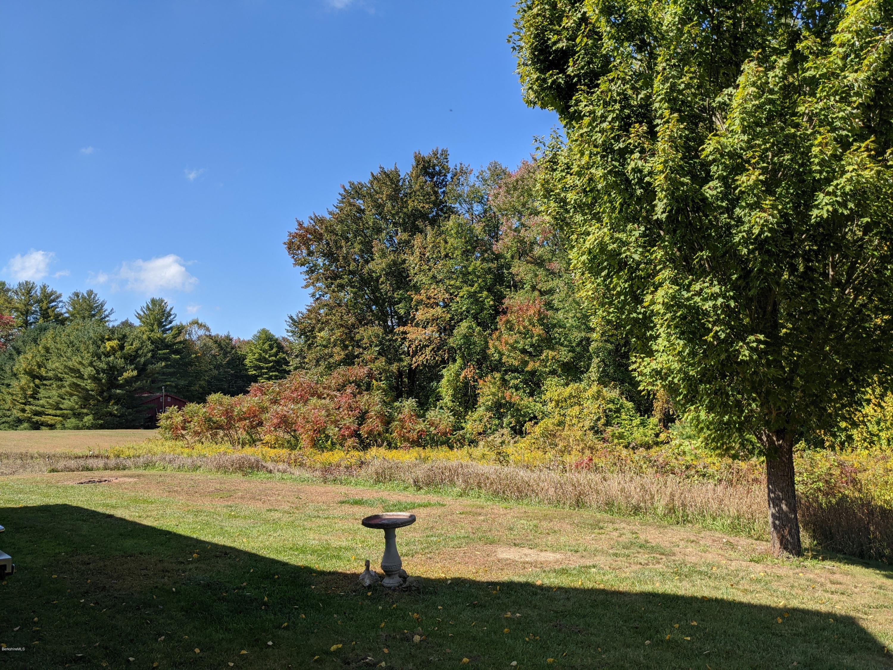 186 Bears Den Road Sheffield, MA 01257 - Photo 8 of 59 Back Yard East to West