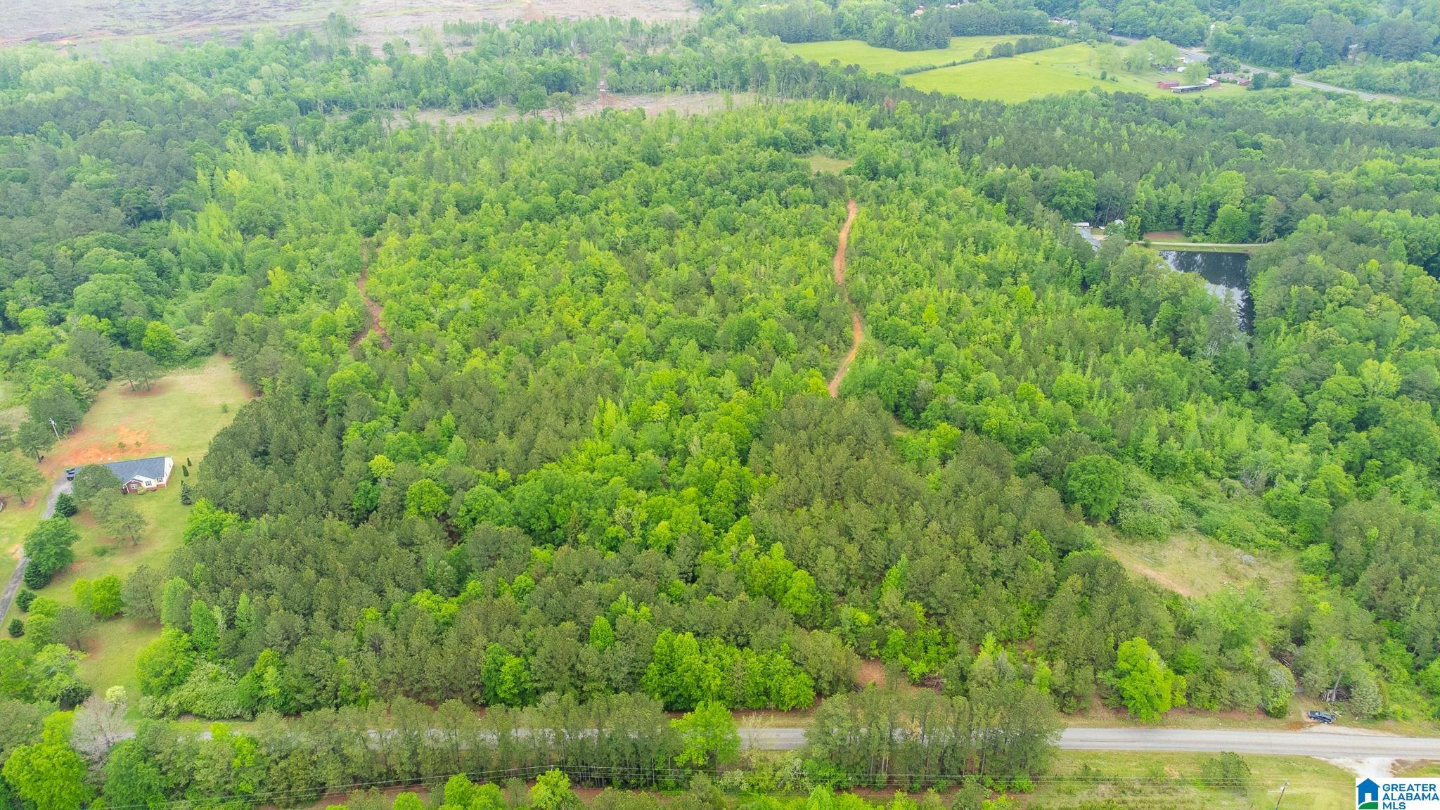 0 Cove Access Road, Unit 28 Talladega, AL 35160 - Photo 12 of 12