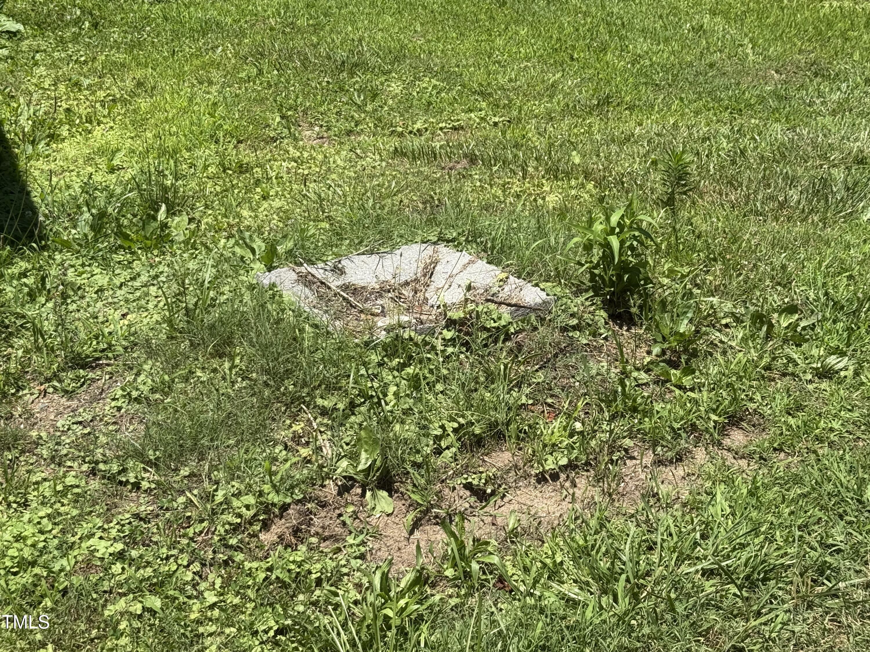 1694 Polly Spout Road Marion, NC 28752 - Photo 13 of 13 IMG_8541