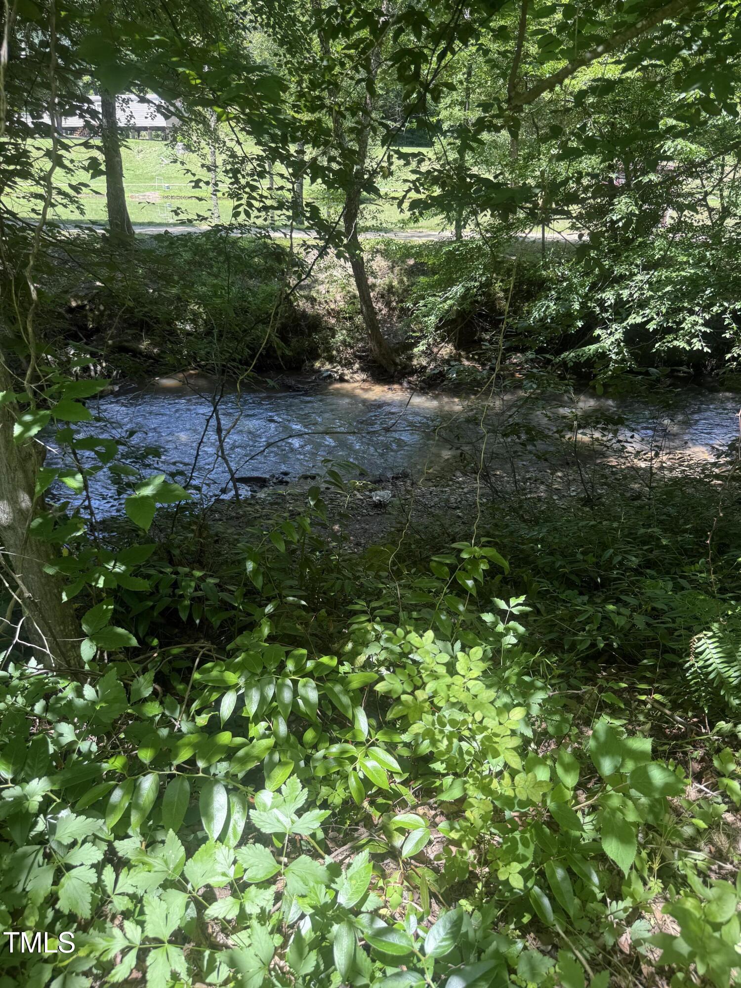 1694 Polly Spout Road Marion, NC 28752 - Photo 4 of 13 IMG_8519