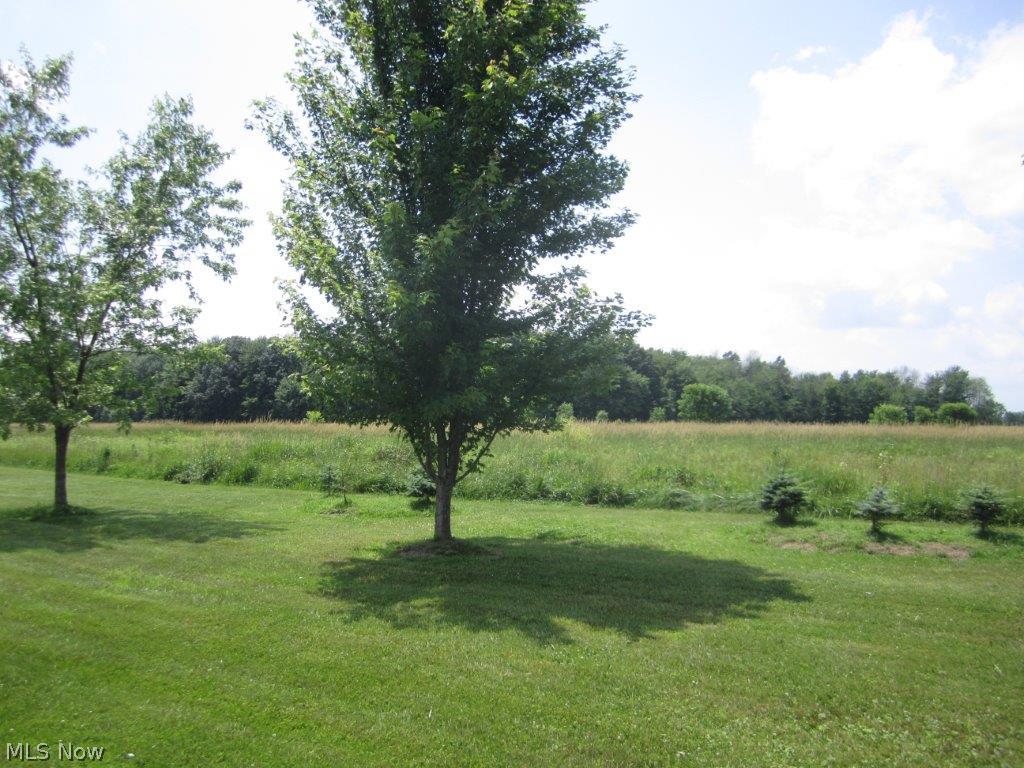 9140 Firestone Road Homerville, OH 44235 - Photo 8 of 25 Gallery Image 8