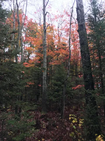 $80,000 | 1860 East Swede Road, Cedarville, MI 49719