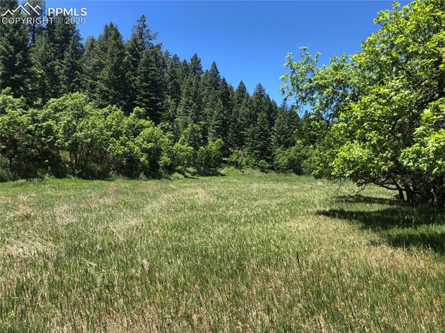 0 Hidden Creek Road Rye, CO 81069 - Photo 2 of 13