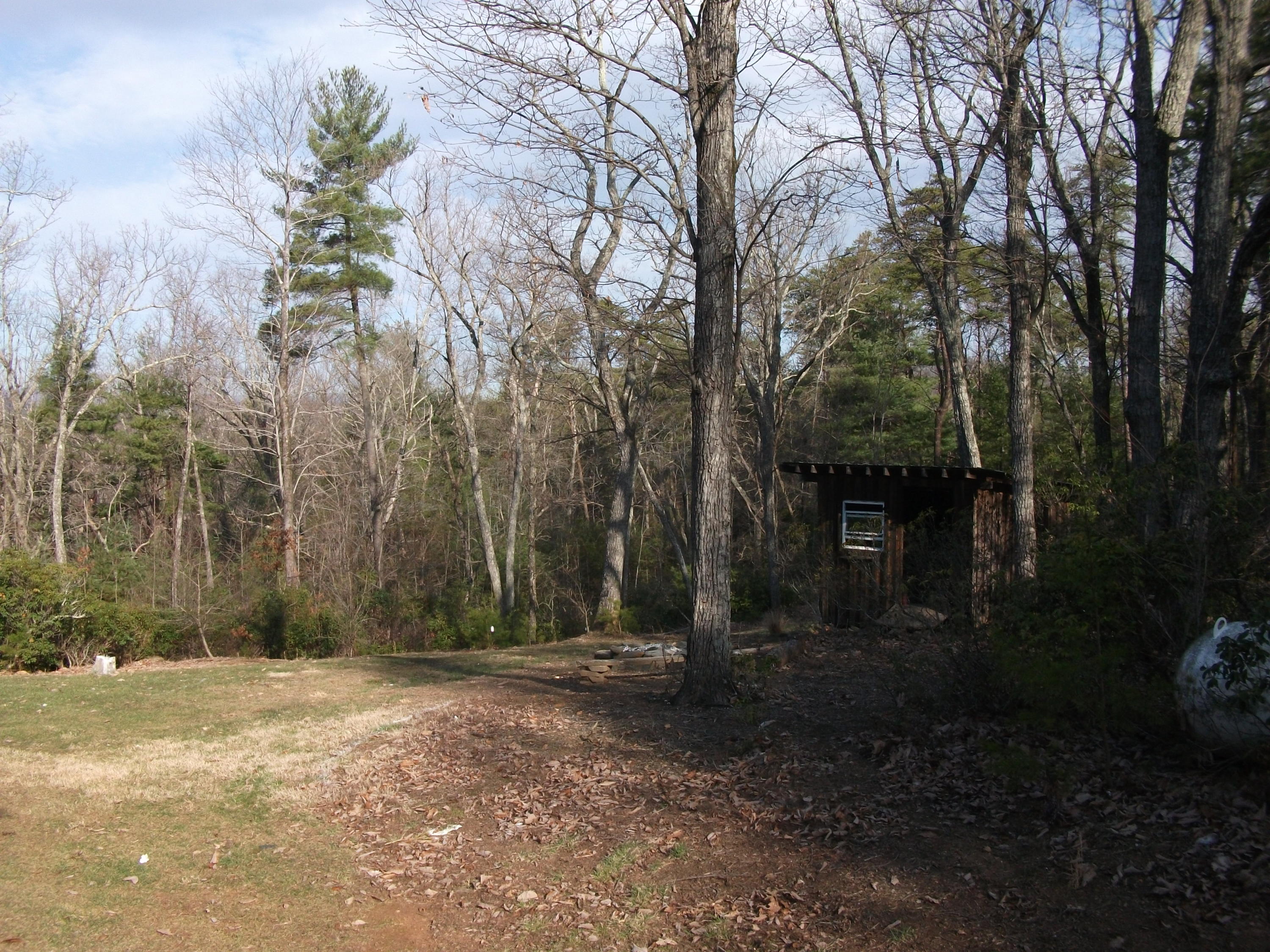 1615 King Richard Road Ferrum, VA 24088 - Photo 33 of 42 29 Yard