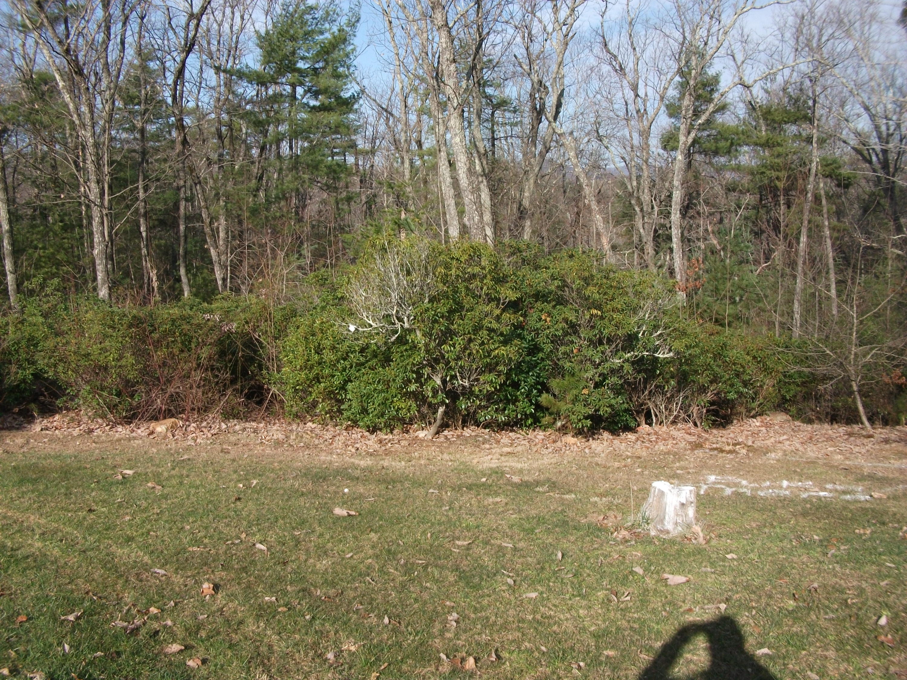 1615 King Richard Road Ferrum, VA 24088 - Photo 35 of 42 31 Outside