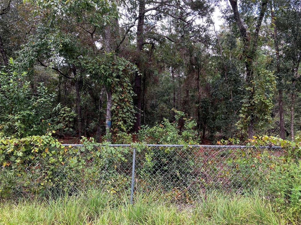9255 Grouse Way Hudson, FL 34669 - Photo 11 of 15 a view of outdoor space and yard