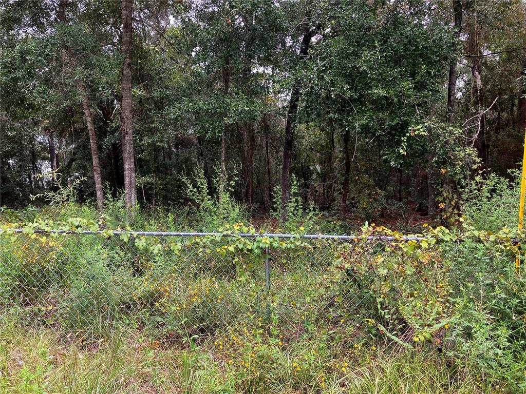 9255 Grouse Way Hudson, FL 34669 - Photo 12 of 15 a view of outdoor space