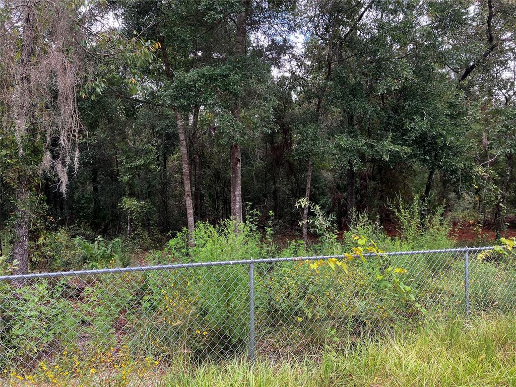 9255 Grouse Way Hudson, FL 34669 - Photo 13 of 15 a view of a park