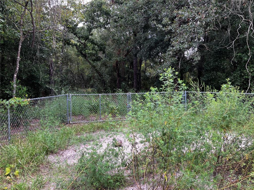 9255 Grouse Way Hudson, FL 34669 - Photo 2 of 15 a backyard of a house with lots of green space