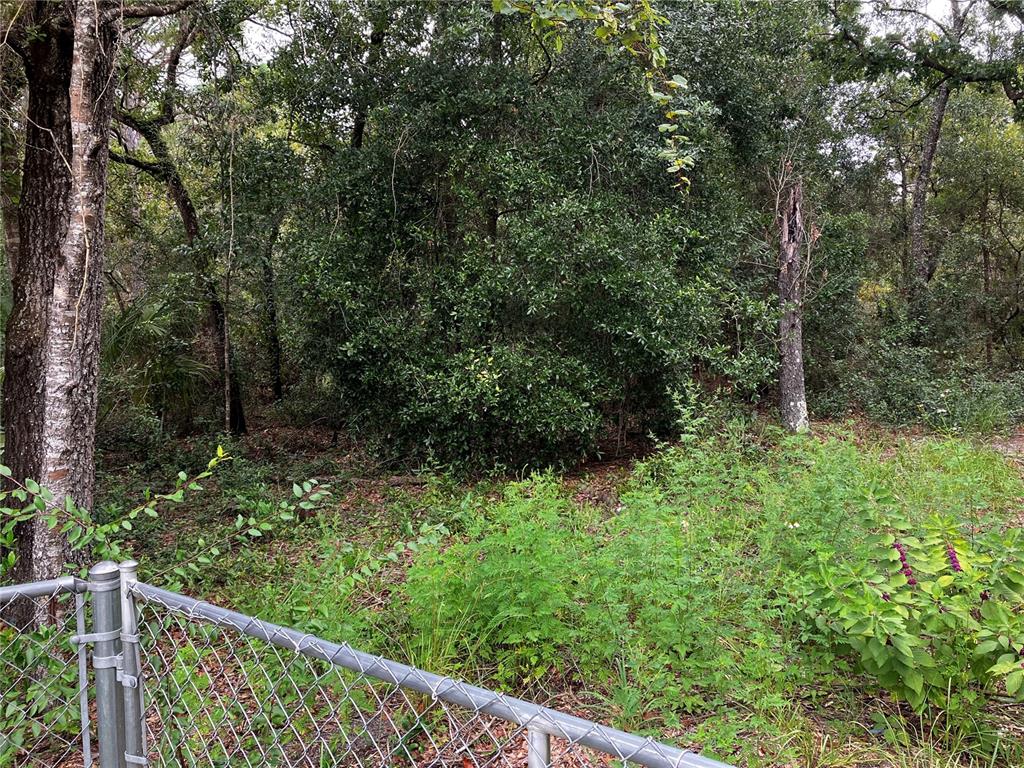 9255 Grouse Way Hudson, FL 34669 - Photo 4 of 15 a view of a forest from a balcony