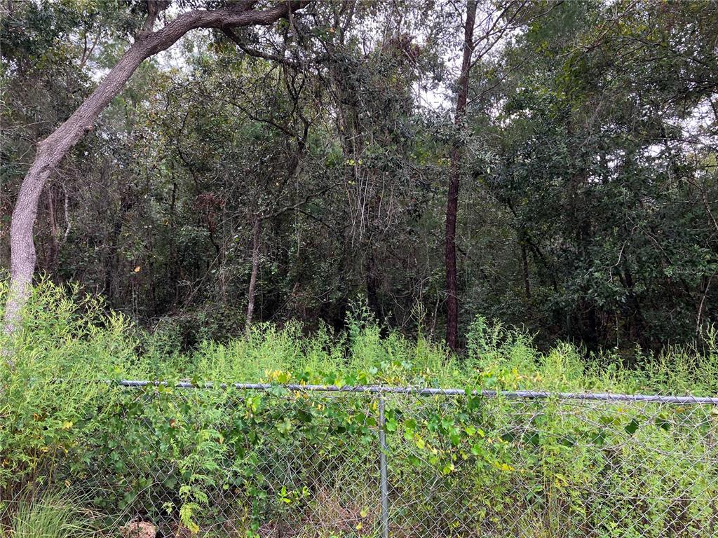 9255 Grouse Way Hudson, FL 34669 - Photo 6 of 15 a view of a lush green space