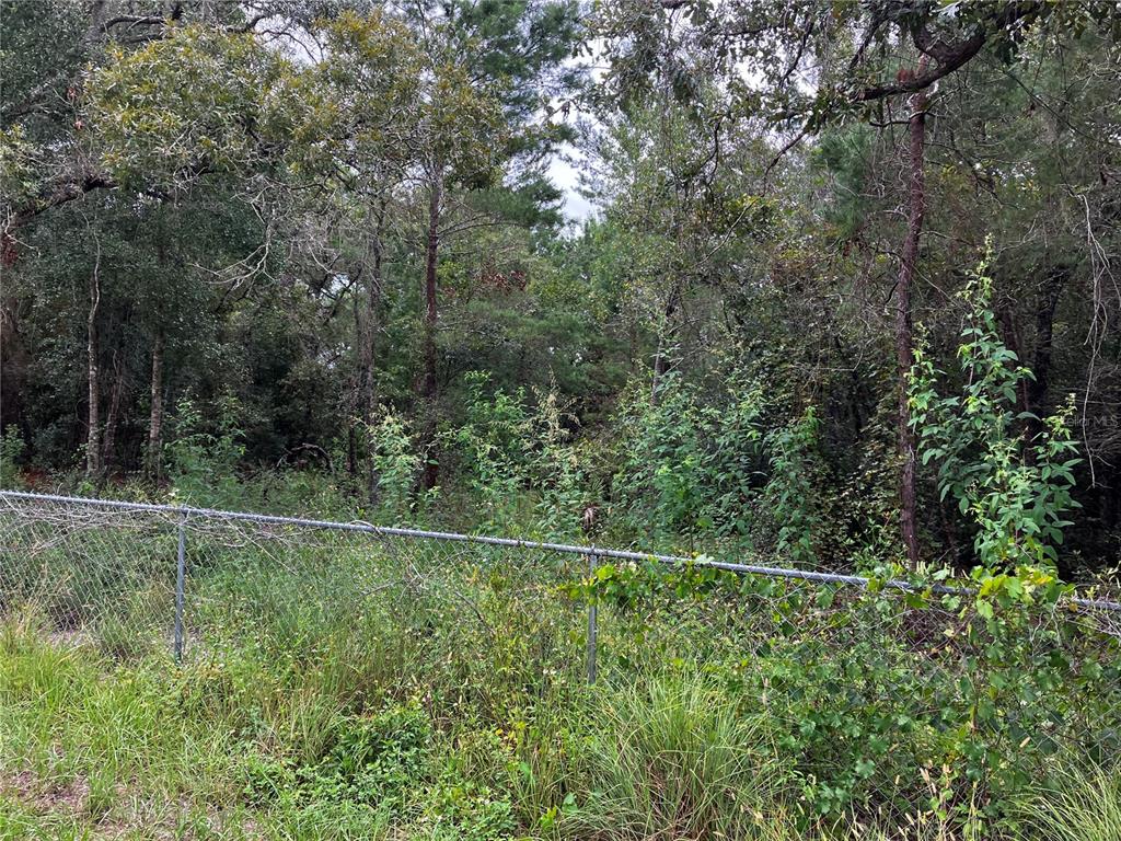 9255 Grouse Way Hudson, FL 34669 - Photo 8 of 15 a backyard of a house with lots of green space and plants