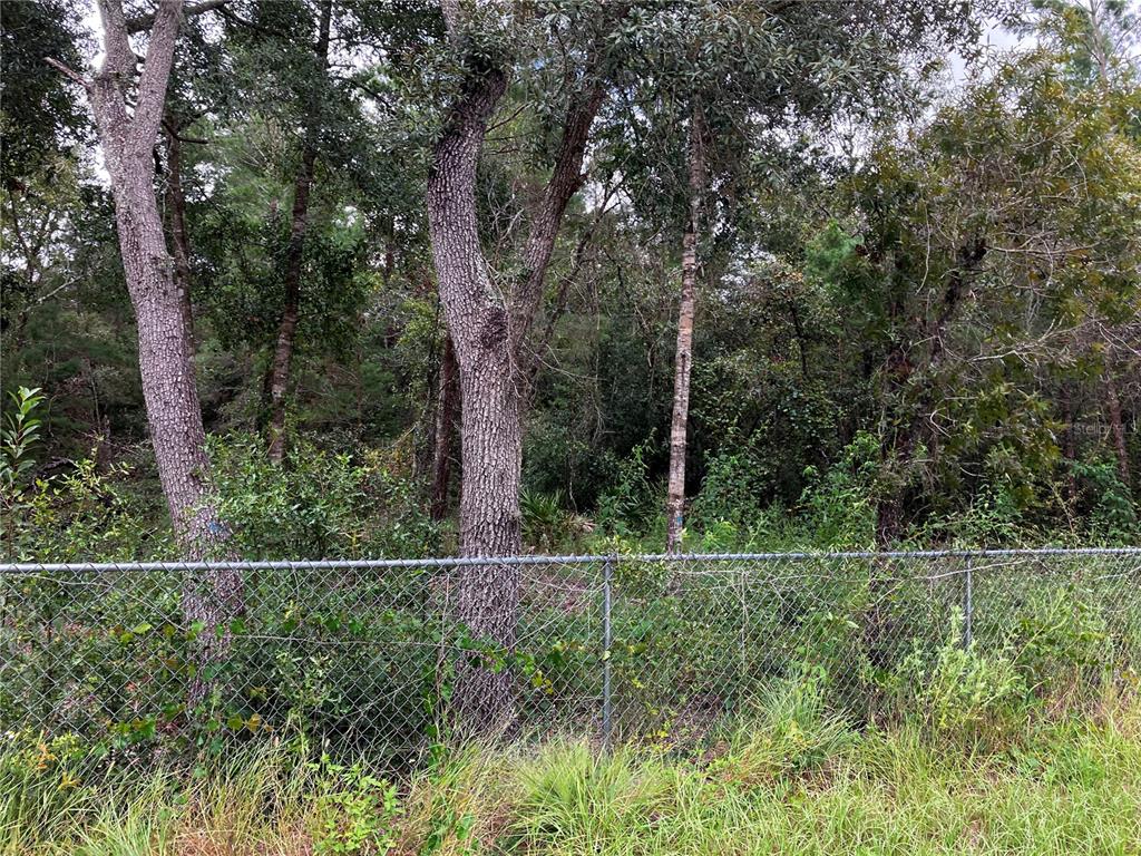 9255 Grouse Way Hudson, FL 34669 - Photo 9 of 15 a view of outdoor space with green field and trees