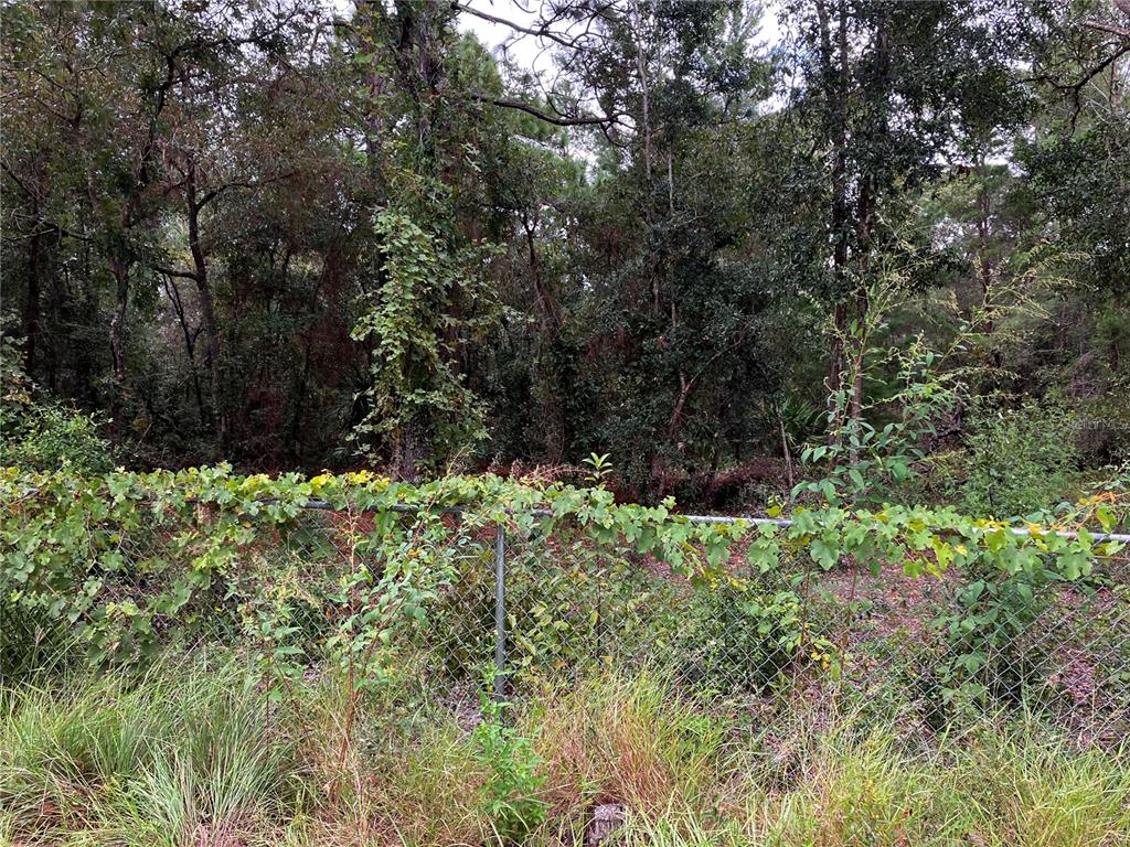 9255 Grouse Way Hudson, FL 34669 - Photo 10 of 15 a view of a garden