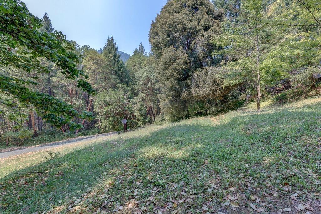 5645 Thompson Creek Road Selma, OR 97538 - Photo 3 of 9 Additional Photo