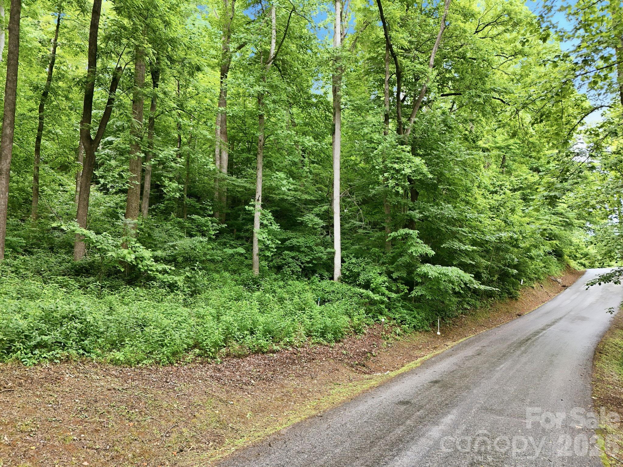 9999 Blue Ridge Drive South Marion, NC 28752 - Photo 4 of 17