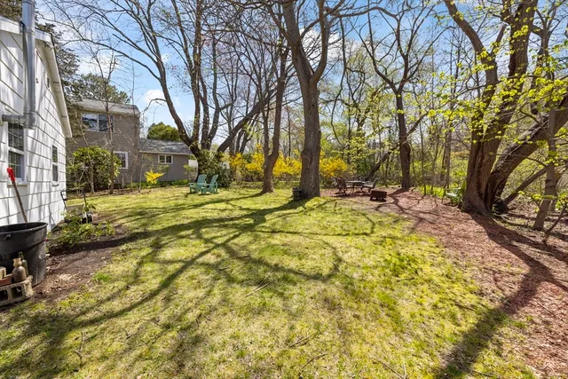 a view of yard with trees in the background