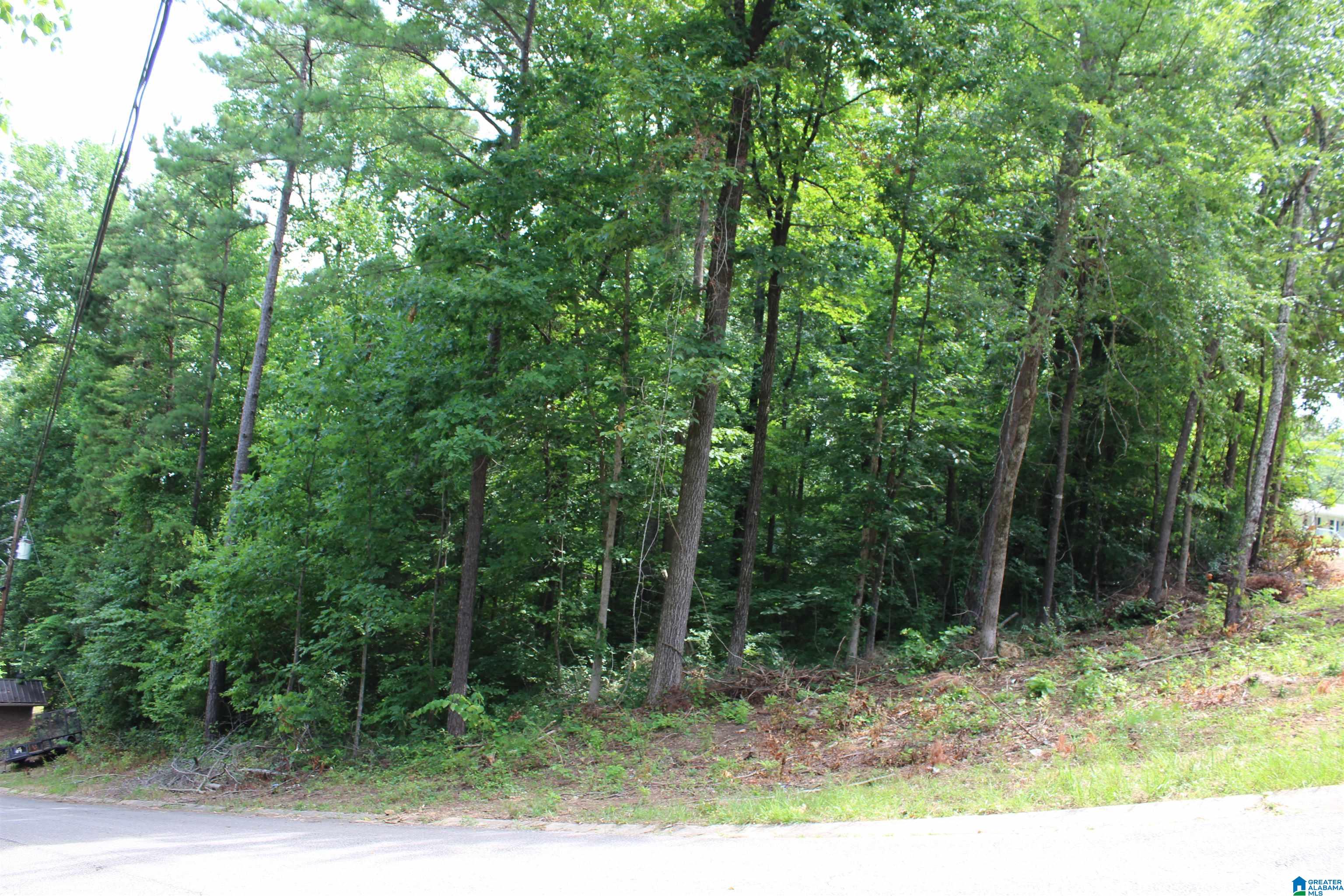 0 Ridgewood Lane, Unit 4&5 Moody, AL 35004 - Photo 8 of 12