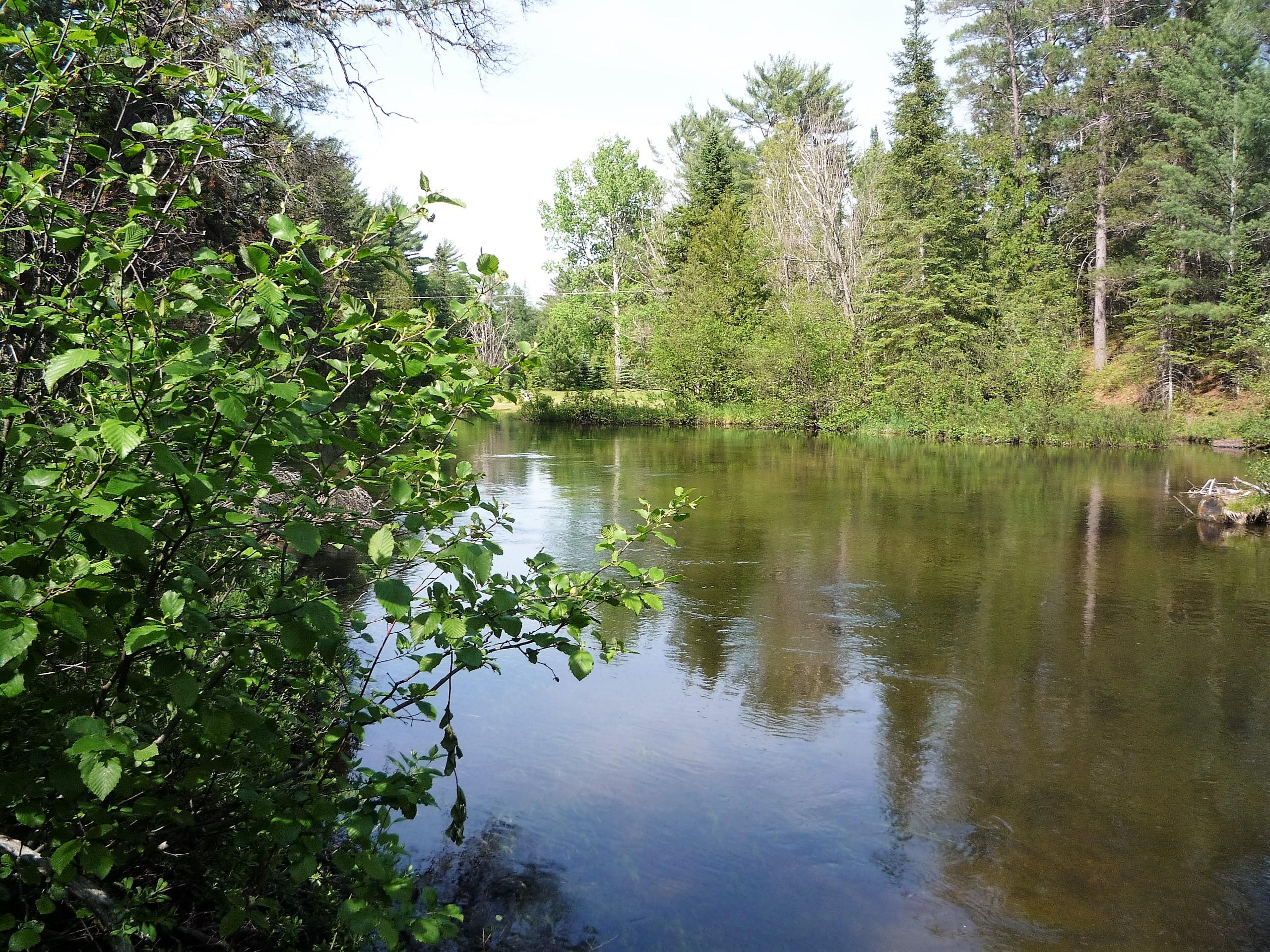 15662 Riverview Road Southeast Grayling, MI 49738 - Photo 34 of 41 Gallery Image 34
