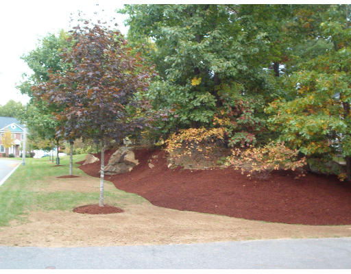 2 Buehler Road Bedford, MA 01730 - Photo 6 of 29 Gallery Image 6
