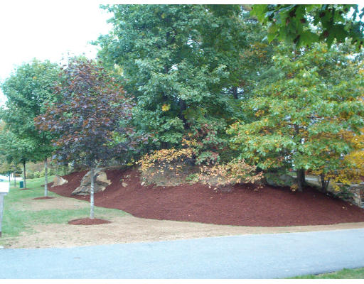 2 Buehler Road Bedford, MA 01730 - Photo 10 of 29 Gallery Image 10