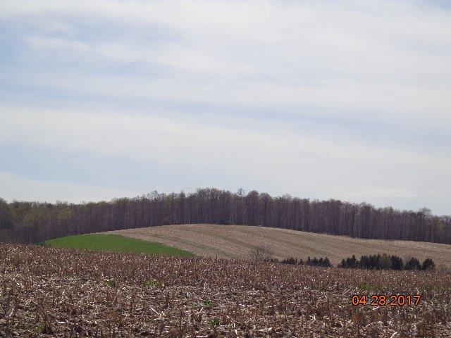 0 Skellie Road Worcester, NY 12197 - Photo 1 of 1 Gallery Image 1