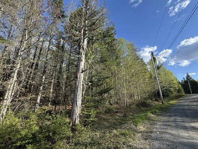 Lot 13 Pidgeon Point Road Whiting, ME 04691 - Photo 13 of 25 IMG_9971 (1)