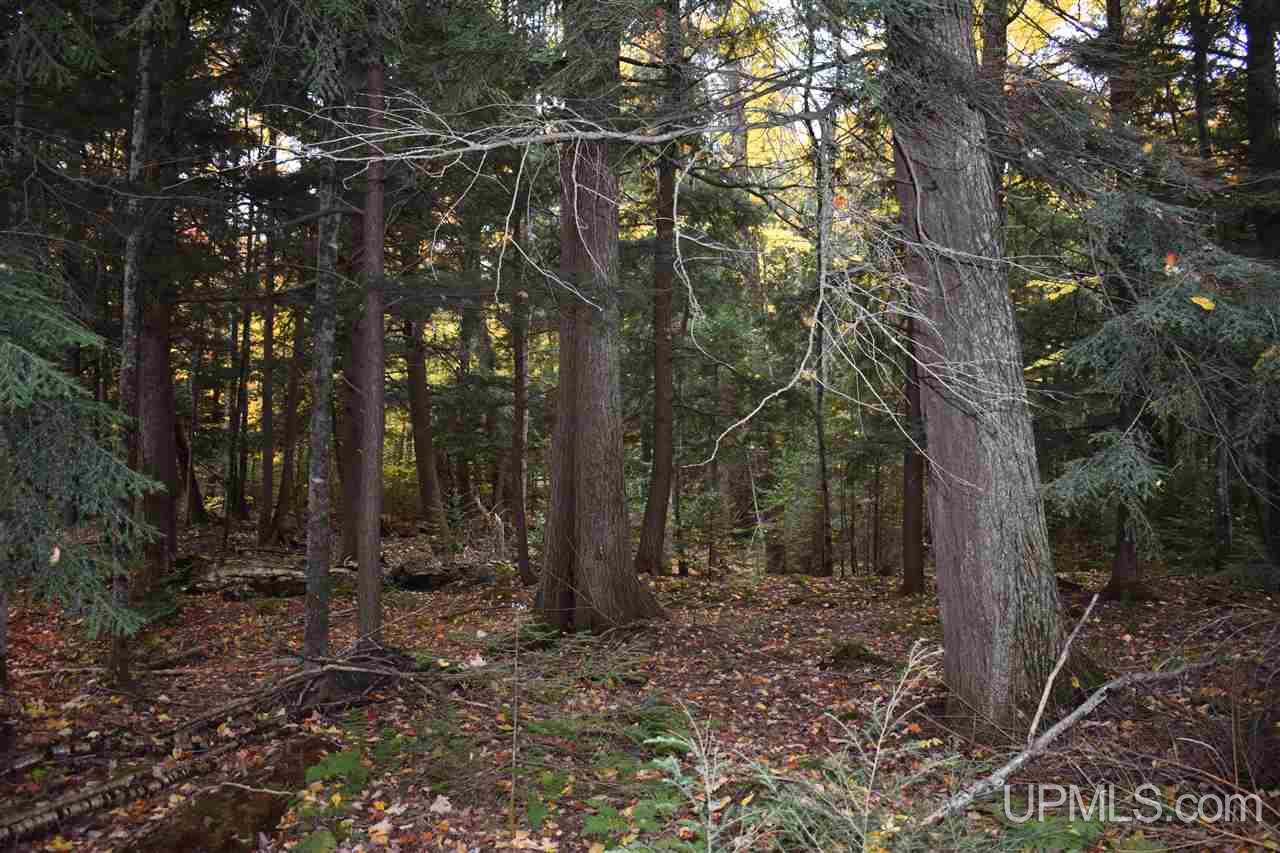 9-acres Deerton Road Deerton, MI 49822 - Photo 20 of 37 Gallery Image 20