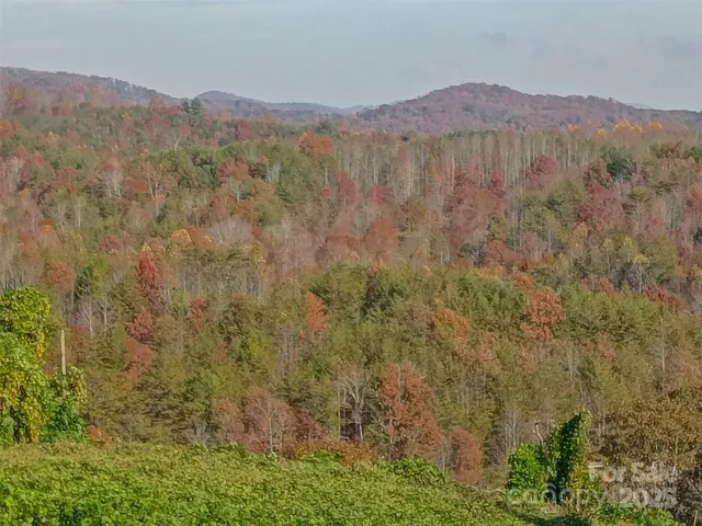 a view of a lush green hillside and a mountain