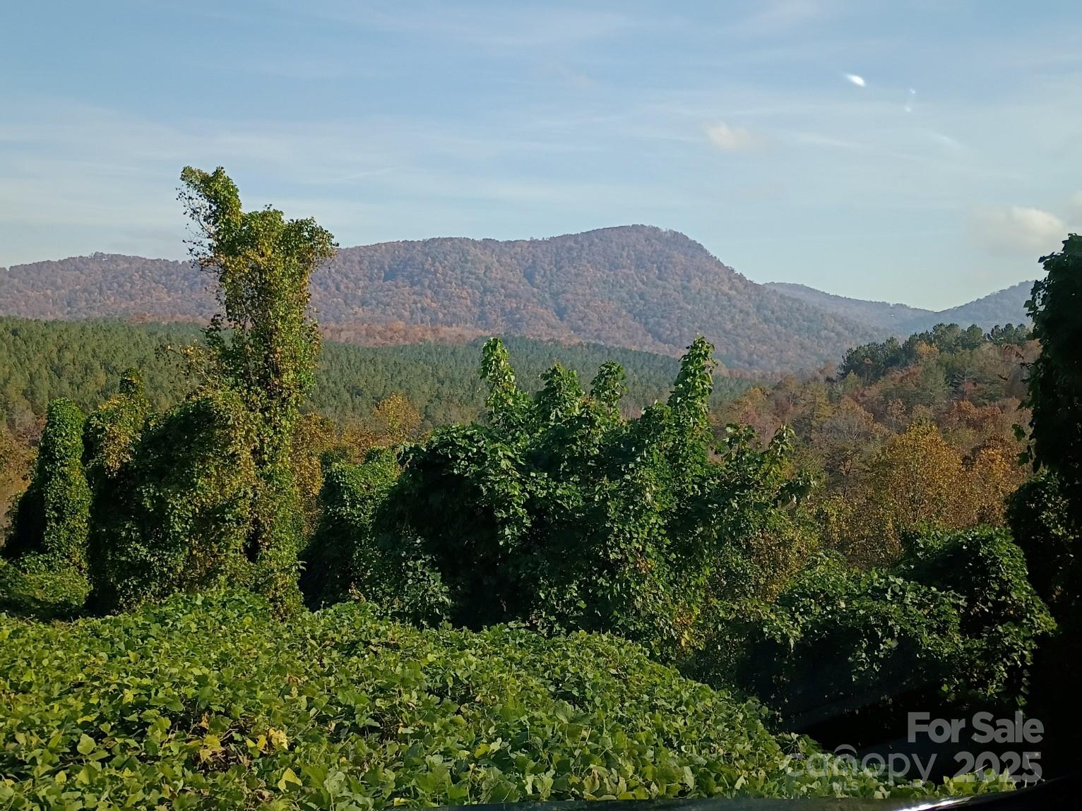 3024 Camp Creek Road Union Mills, NC 28167 - Photo 2 of 10 a view of a house with a street