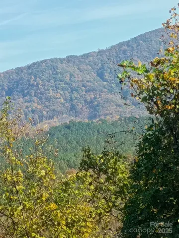 a view of a dry yard with lots of bushes