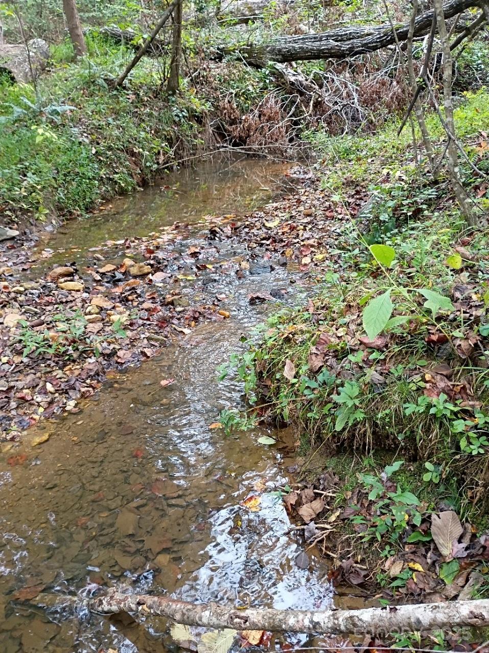 3024 Camp Creek Road Union Mills, NC 28167 - Photo 4 of 10 a view of a yard with a tree