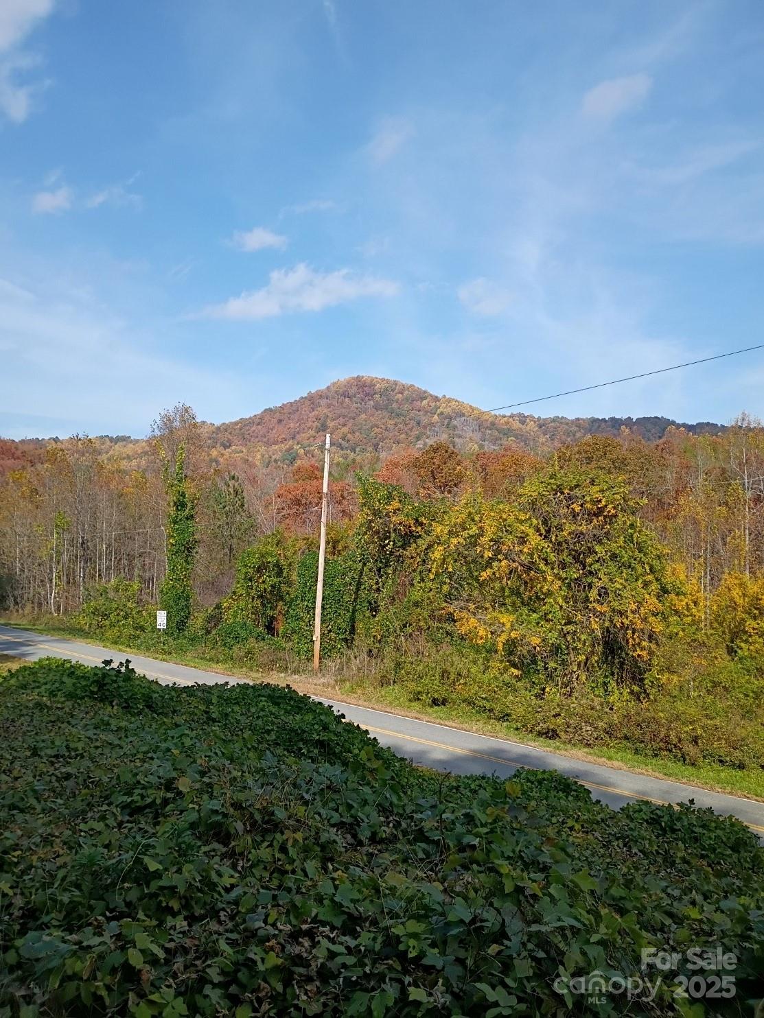 3024 Camp Creek Road Union Mills, NC 28167 - Photo 8 of 10 a view of an outdoor space and a yard