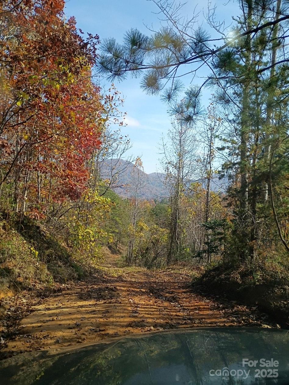 3024 Camp Creek Road Union Mills, NC 28167 - Photo 9 of 10