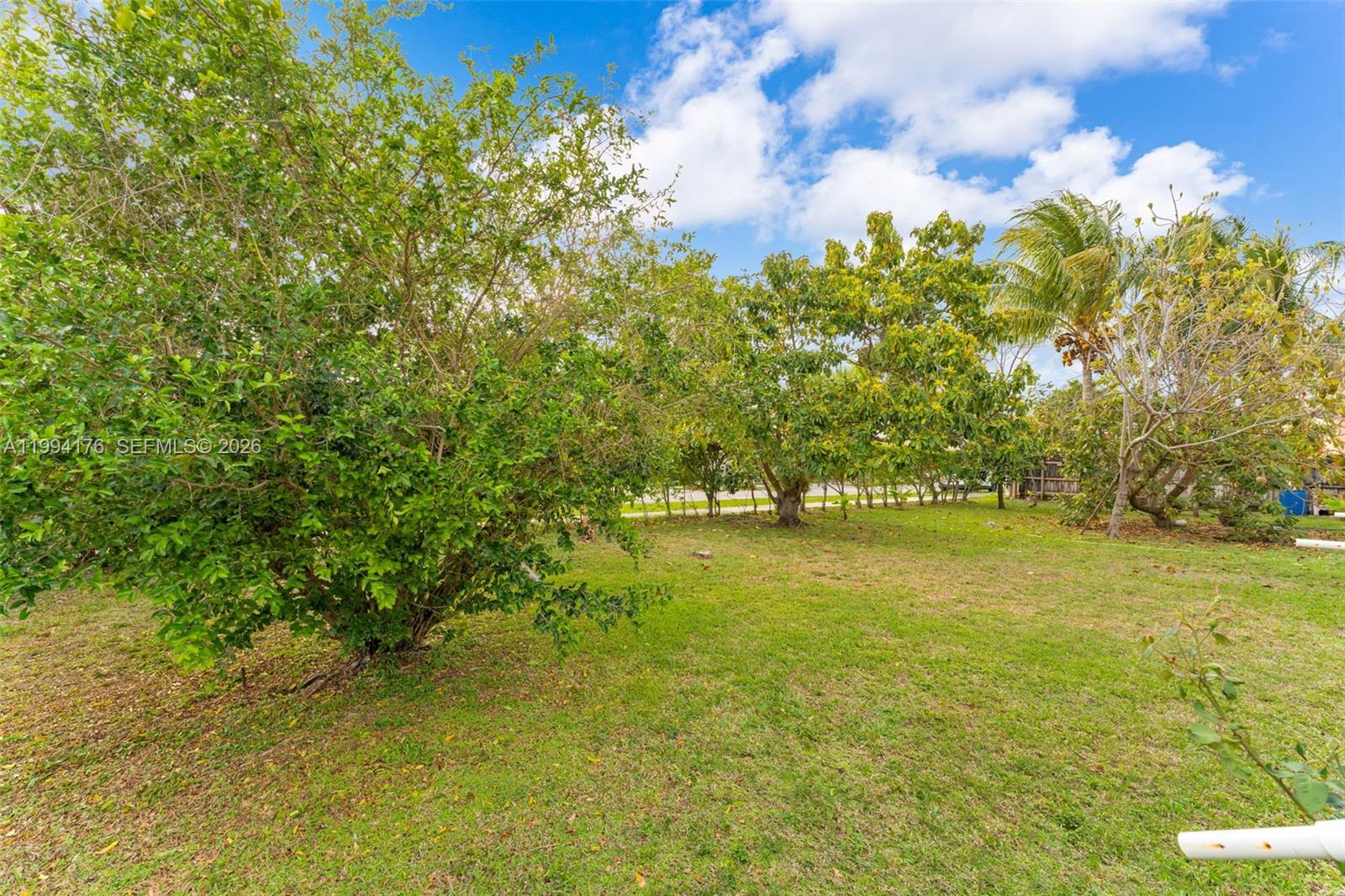 6502 Southwest 157th Court Miami, FL 33193 - Photo 37 of 51 a view of yard with green space