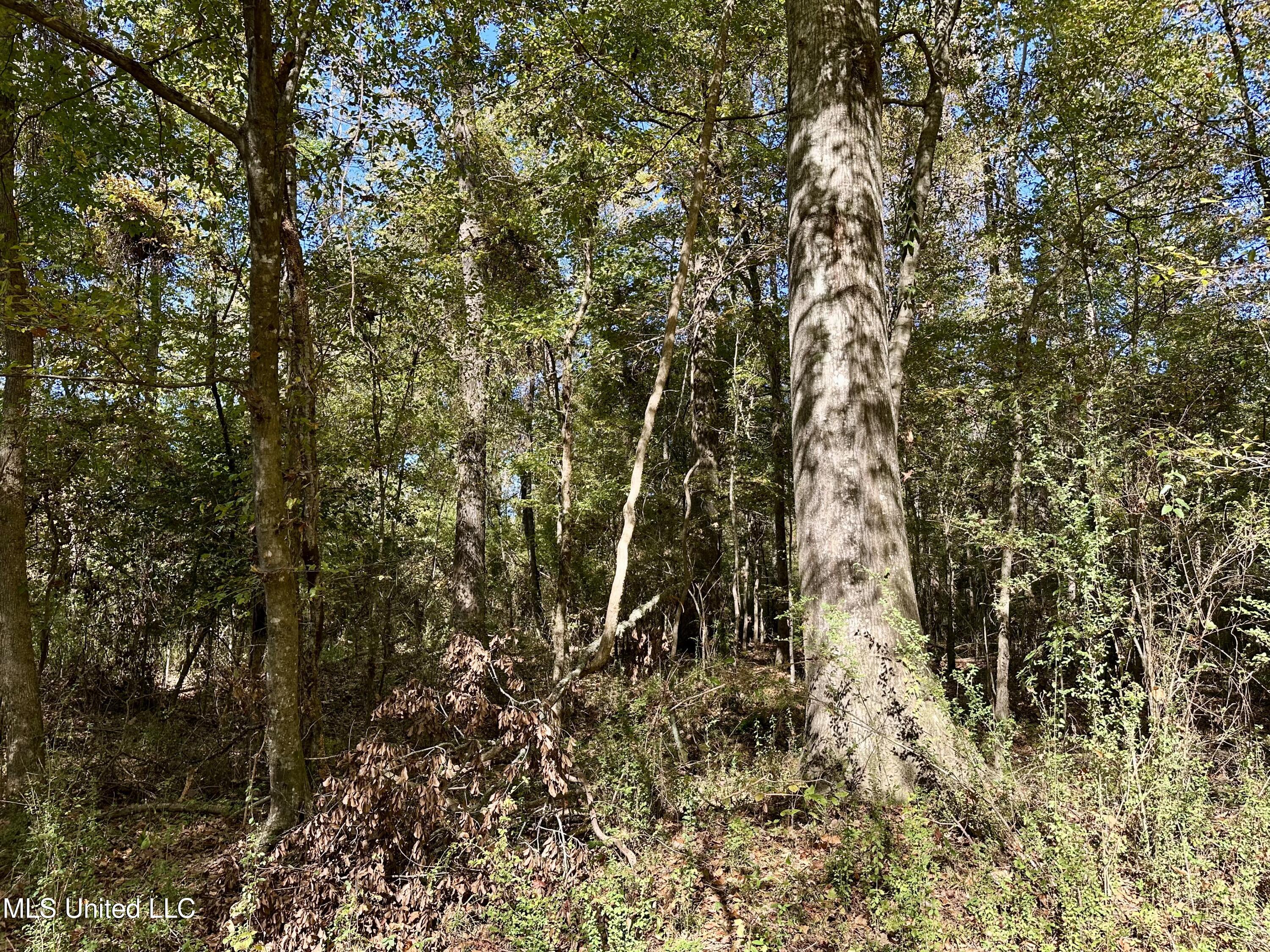 2089 Alford Bridge Road Summit, MS 39666 - Photo 15 of 24 IMG_3813