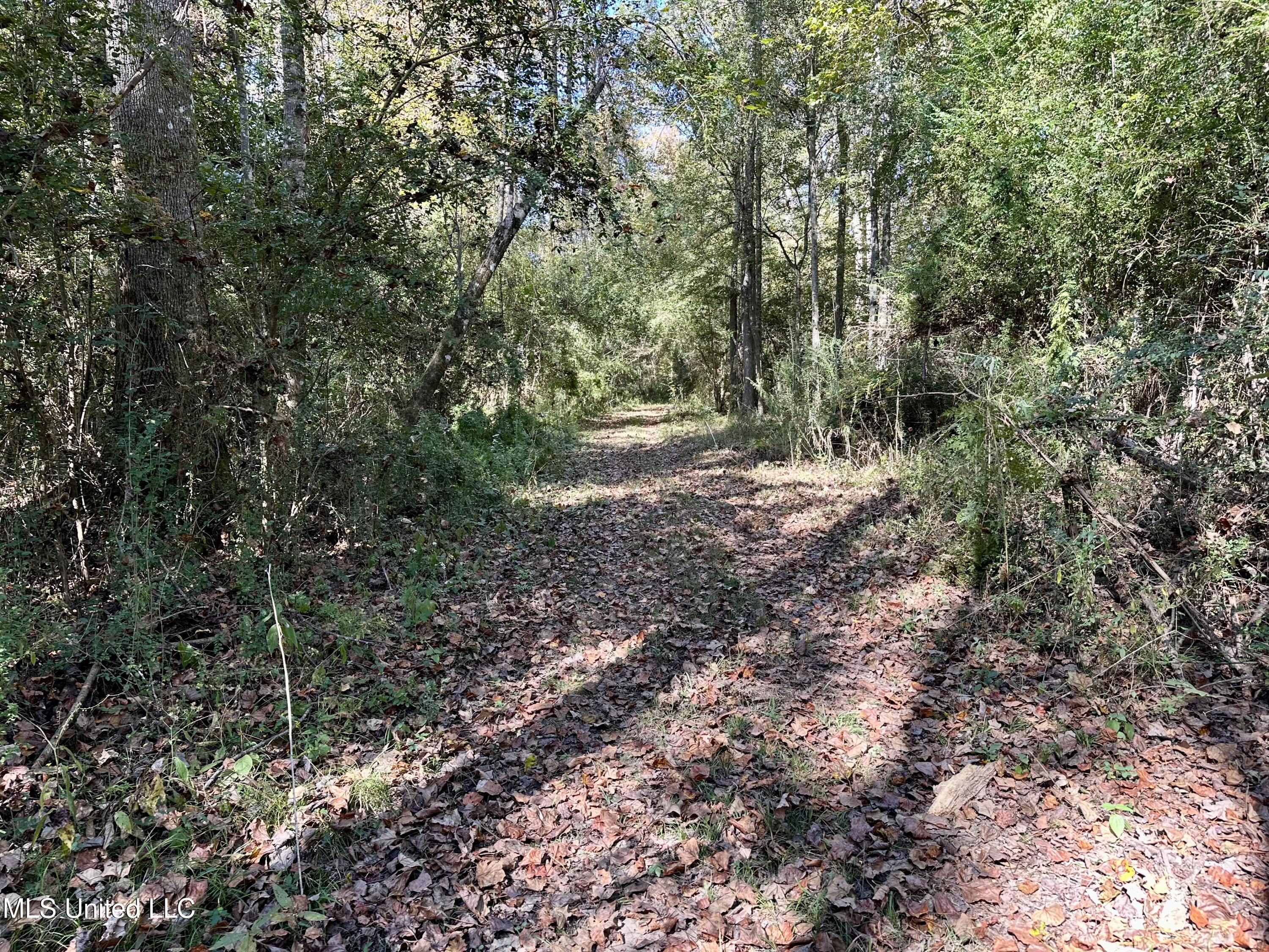 2089 Alford Bridge Road Summit, MS 39666 - Photo 17 of 24 IMG_3816