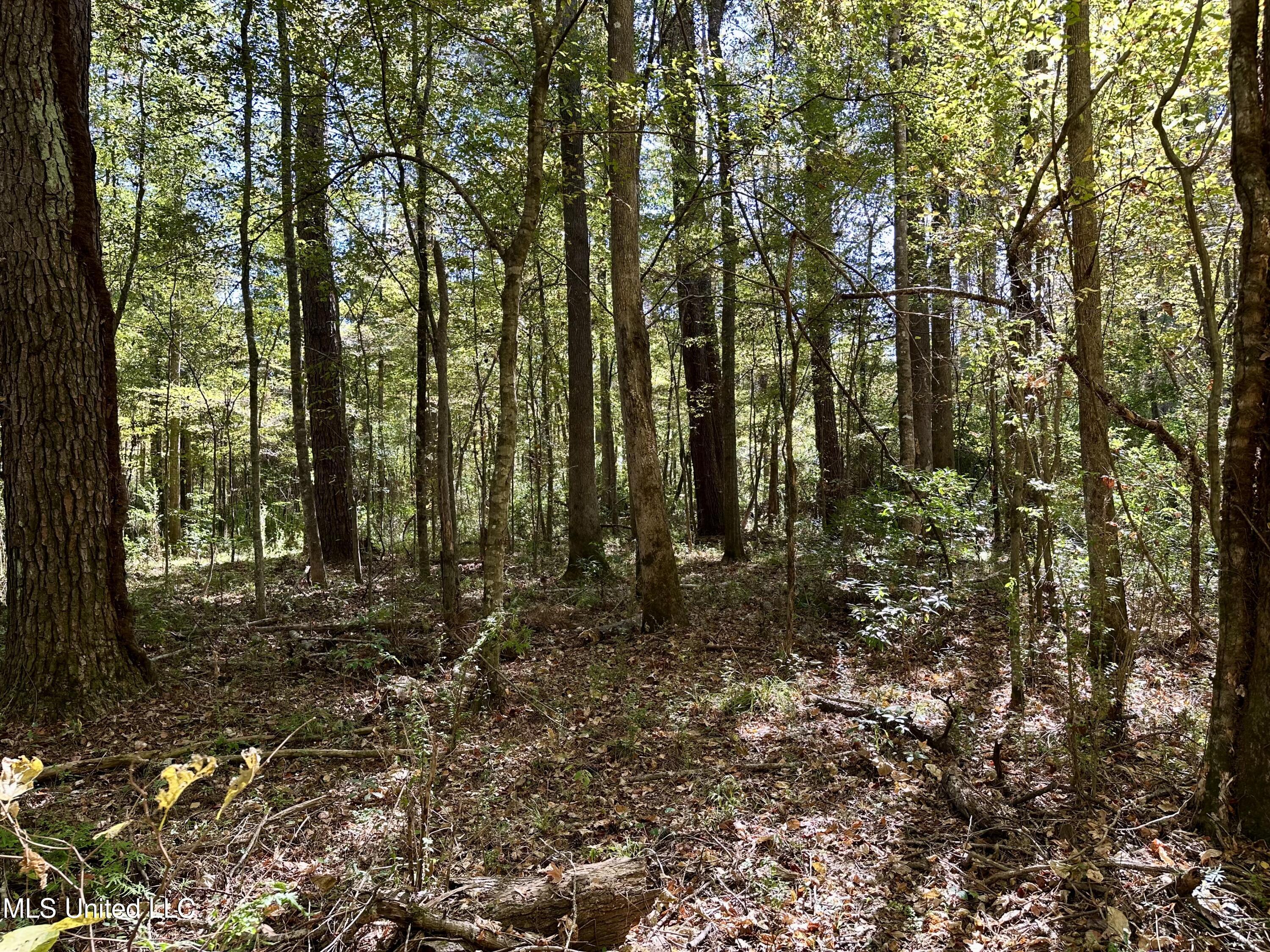 2089 Alford Bridge Road Summit, MS 39666 - Photo 20 of 24 IMG_3826