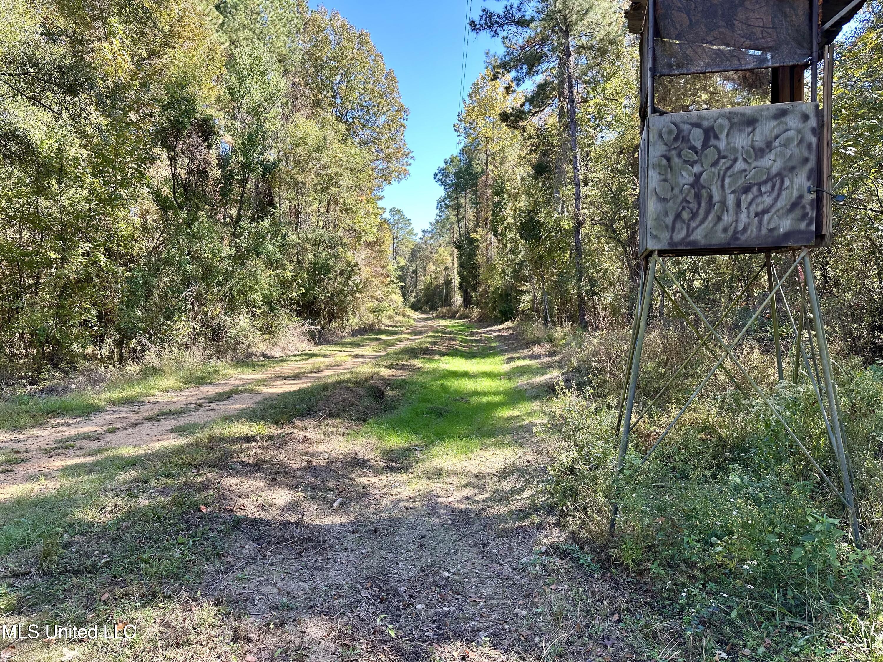 2089 Alford Bridge Road Summit, MS 39666 - Photo 21 of 24 IMG_3827