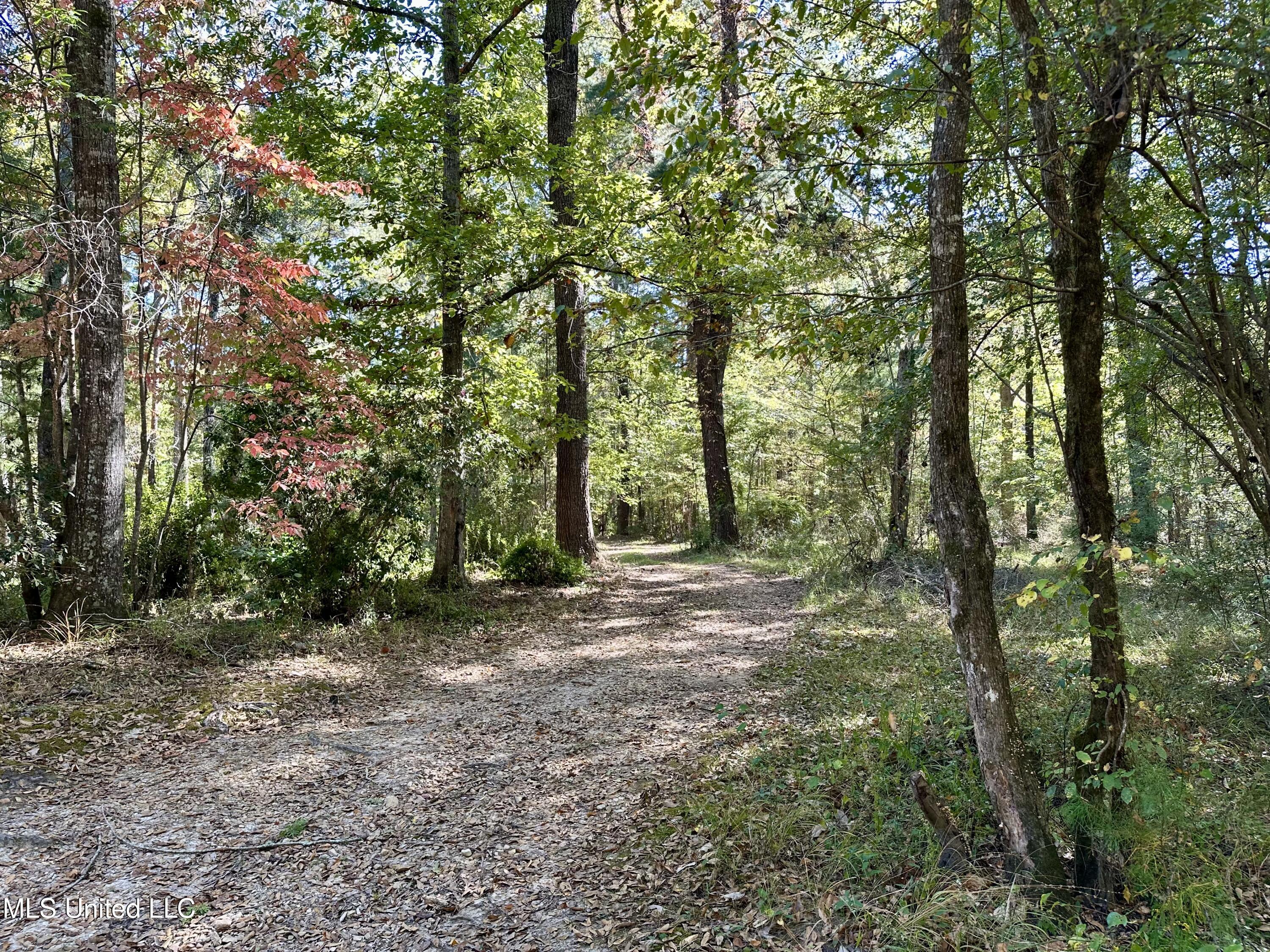 2089 Alford Bridge Road Summit, MS 39666 - Photo 3 of 24 IMG_3803