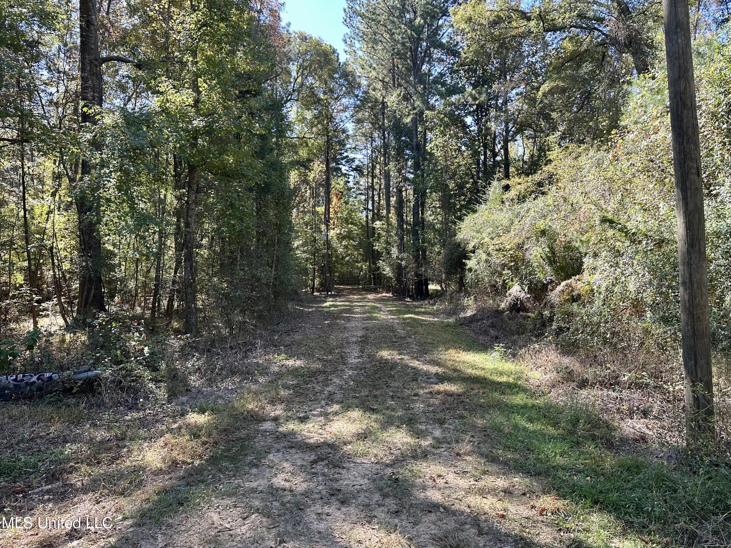 2089 Alford Bridge Road Summit, MS 39666 - Photo 5 of 24 IMG_3797
