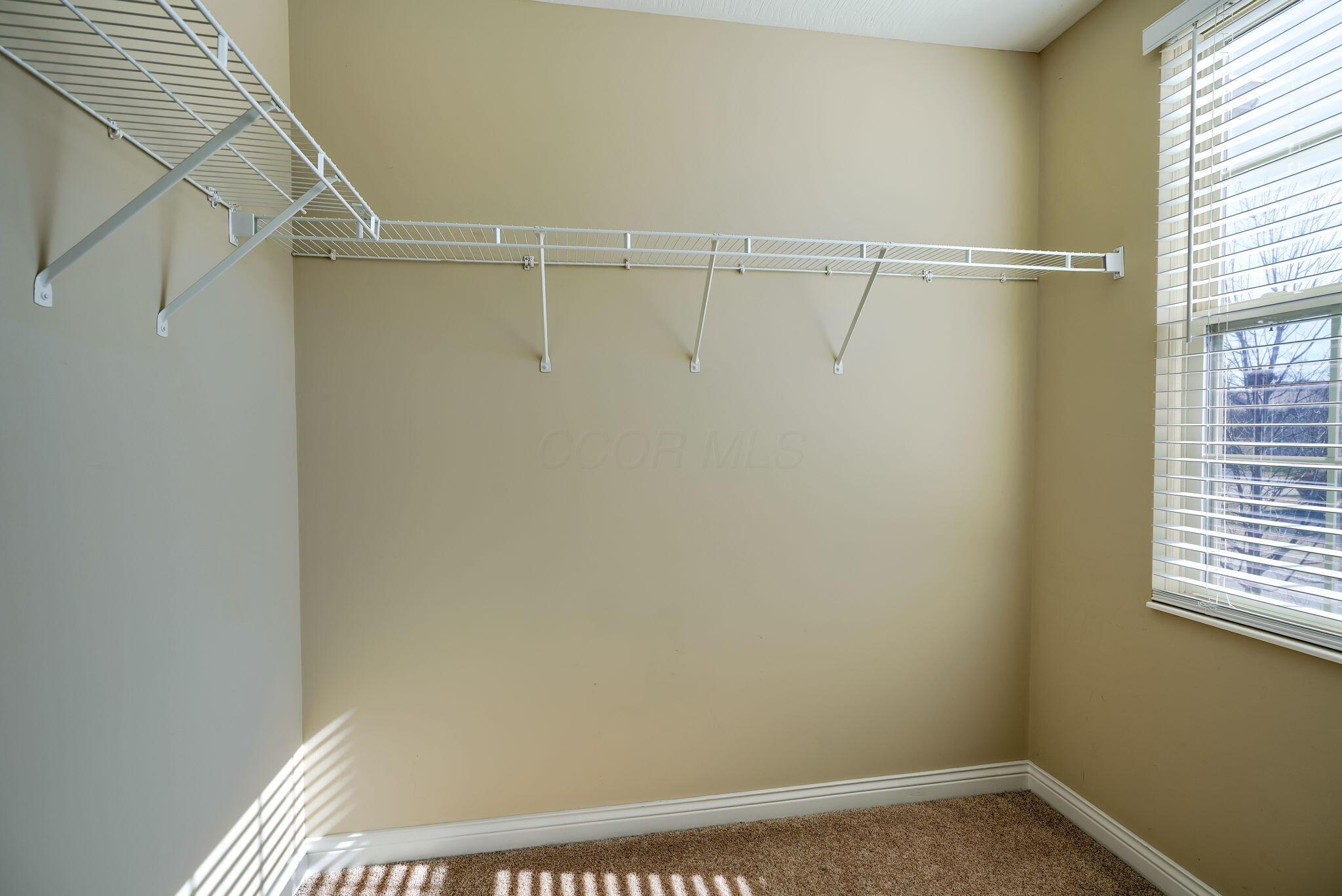 7732 Maple Run Lane Powell, OH 43065 - Photo 41 of 59 Walk in closet