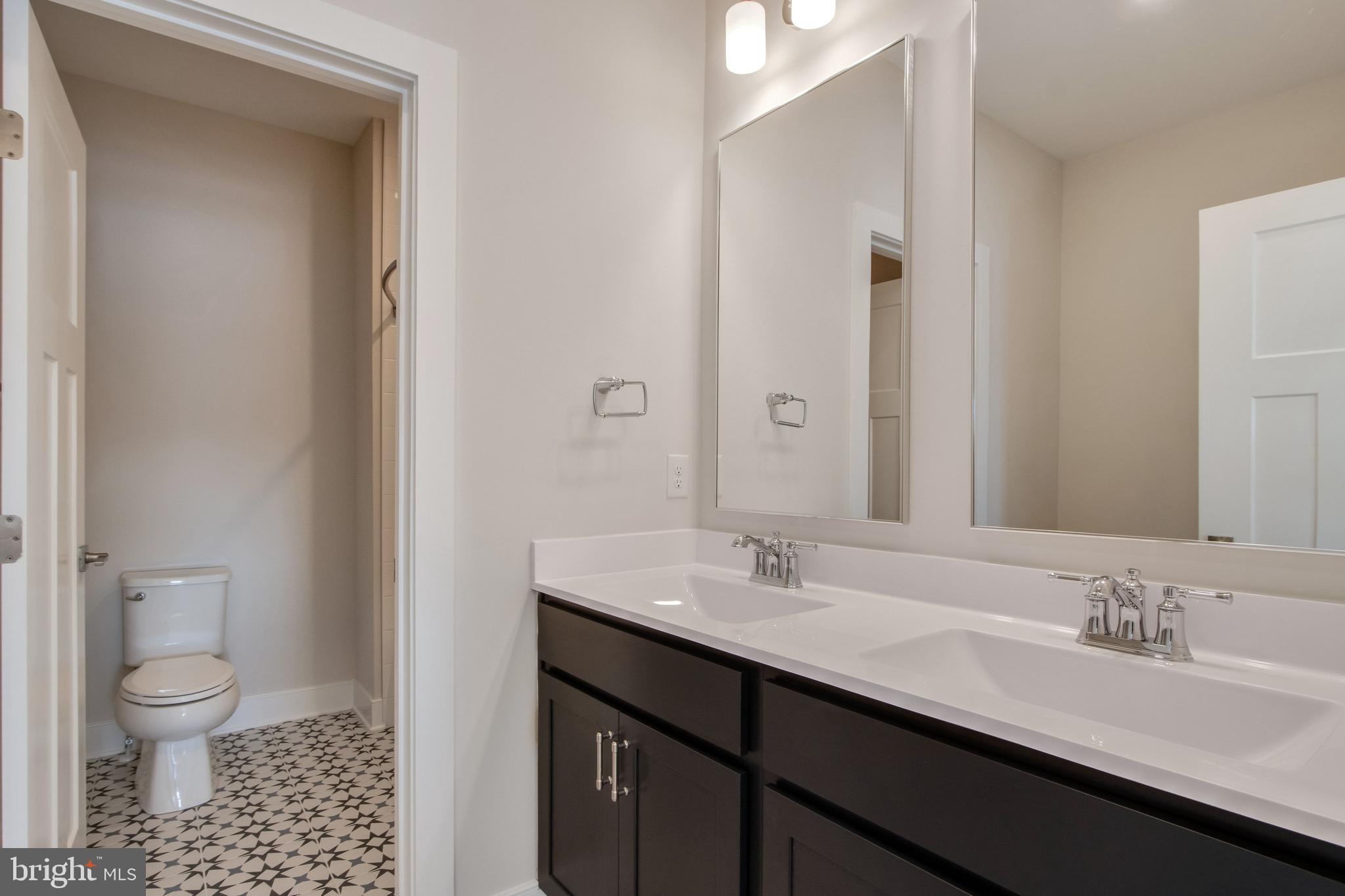 30491 Blue Beech Lane Frankford, DE 19945 - Photo 59 of 73 a bathroom with a sink a toilet and a large mirror