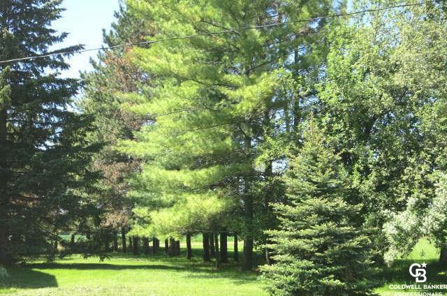 2360 North Kerby Road Corunna, MI 48817 - Photo 6 of 24 Gallery Image 6