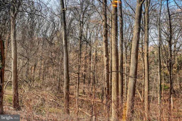 $3,795 | 3630 39th Street Northwest, Unit B530, Washington, DC 20016