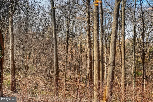 a view of a outdoor space